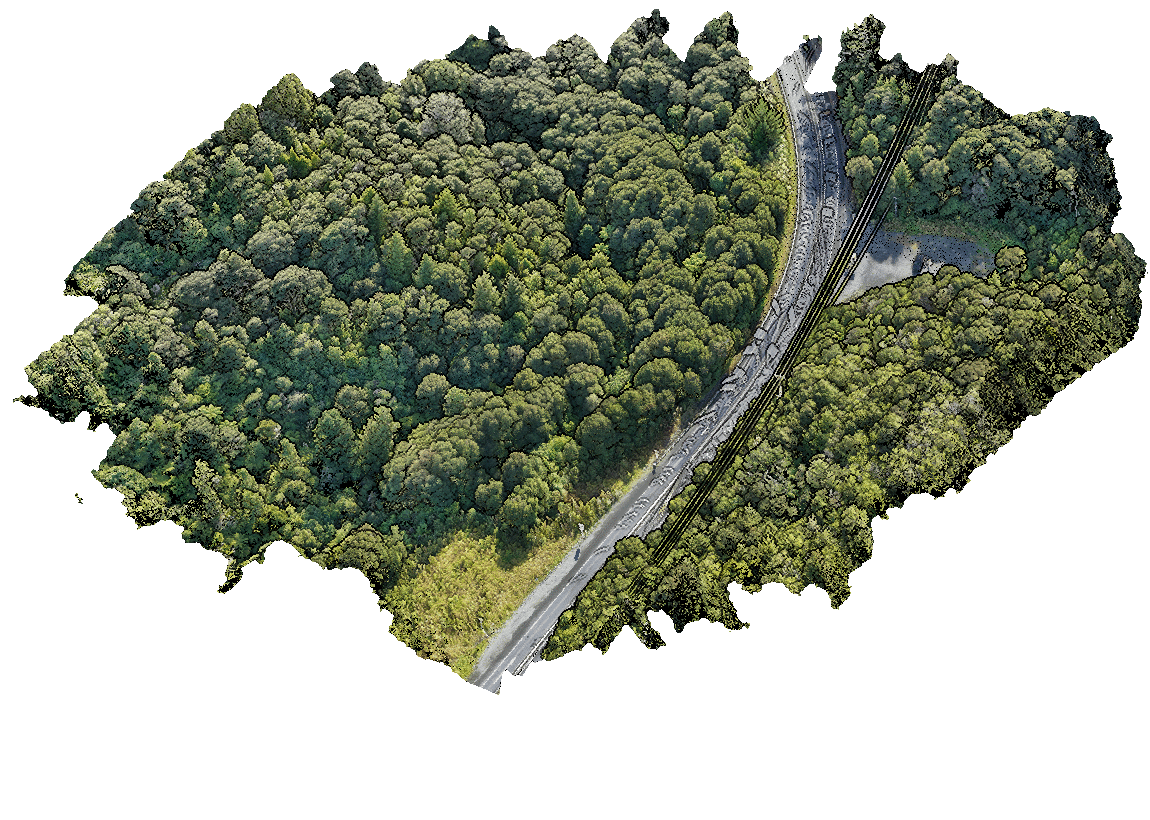 RGB point cloud view — Dome Valley landslip survey